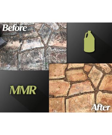 Buy Bad Axe MMR Instant Mold & Mildew Stain Remover - Professional Strength 1 Gallon - Effective Odor Removal for Home & Contractor Use - Buy Online on GoSupps.com