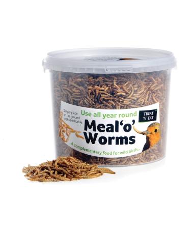 Treat n Eat Meal Worms 1 litre