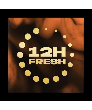 Unilever Benelux AX Fine Fragrance Collection Copper Santal Shower gel for 12 hours of freshness with the scent of luxurious perfume 6 x 300 ml Value pack - Buy Online on GoSupps.com