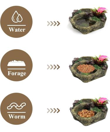 Durable Resin Reptile Food and Water Bowl for Snakes, Frogs, Geckos, Tortoises, Lizards, and Chameleons - Buy Online on GoSupps.com
