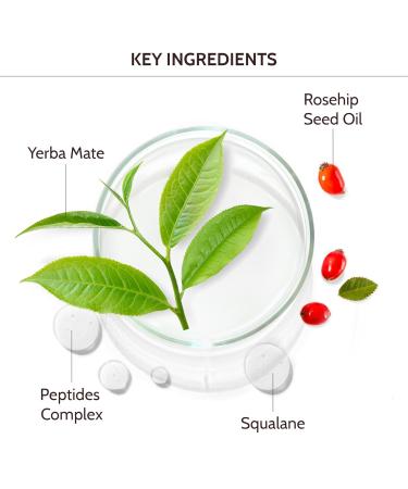 Infuse Bundle Night Cream Hydrating - Under Eye Cream Anti Aging & Foaming Facial Cleanser Under Eye Cream Anti Aging - Yerba Mate Radiance and Revival For Mature Skin - Buy Online on GoSupps.com