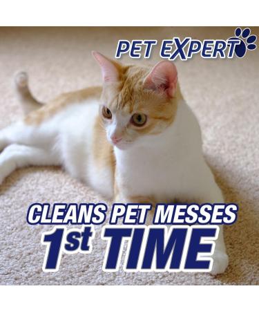 Resolve Pet Carpet Spot & Stain Remover Spray Refill 60oz - Effective Pet Mess Cleaner (SYNCHKG097508) - Buy Online on GoSupps.com
