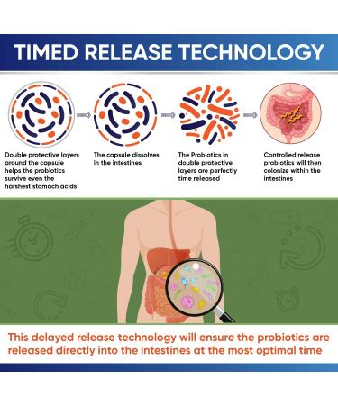 Wholesome Wellness Organic Probiotics 100 Billion CFU - 30 Capsules for Digestive Health - Buy Online on GoSupps.com