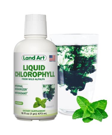 Liquid Chlorophyll Mint Flavored  Cold Extracted from Wild Non-GMO Alfalfa - Alkaline - Natural Body Deodorant  Antioxidant - 16 fl oz 16 Fl Oz (New Bottle)