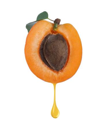 Dr Joe Lab Apricot Kernel Seed Oil - 1 Gallon | Pure Cold Pressed Carrier Oil for Hair Skin Body Nail & Beard Care - Buy Online on GoSupps.com