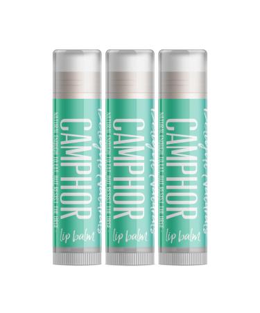 Delight Naturals Camphor Lip Balm - Three Pack