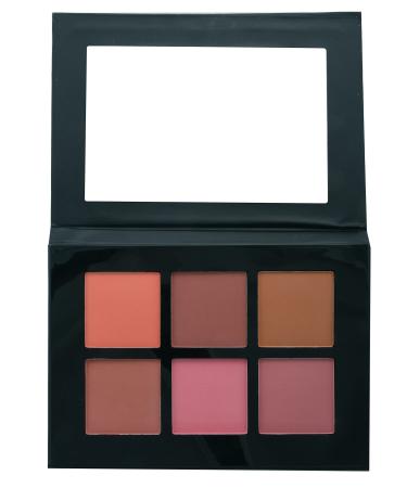 Prolux Cosmetics 6-shade The Blush Palette - Includes 1 Shimmer Shade and 5 Matte Shades