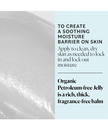 Sky Organics Organic Petroleum-Free Jelly - Multi-Purpose Skin Care Balm with Shea Butter Coconut Oil & Vitamin E - Moisturizing Lip Balm & Dry Skin Moisturizer (2.5 Oz 2 Pack - Buy Online on GoSupps.com