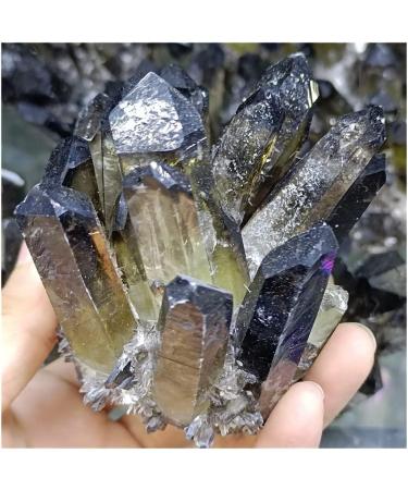 Natural Crystal 1pc Natural Smoky Quartz Cluster Decoration Black Crystal Cluster Reiki Cluster Resistant Decoration Crafts Power Stone Crystal Crystal Cluster (Size : 450-500g) - Buy Online on GoSupps.com