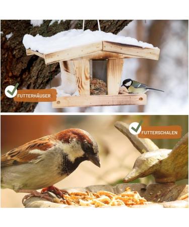 Buy Wild Animal Love Noble Mealworms 5L | Dried Mealworms for Birds & Hedgehogs | Premium Insect Food for Garden Birds - Buy Online on GoSupps.com