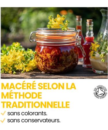  bleu & marine Bretania St John's Wort Oil Highly Concentrated Uncut 30ml 100% Pure Macerate with Olive Oil Vegan and Non-GMO - Buy Online on GoSupps.com