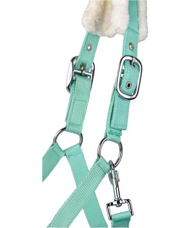 Halter with Plush Padding - RL24 BASICLINE in Light Green for Shetland Pony Thoroughbred & Warmblood | International Shipping - Buy Online on GoSupps.com