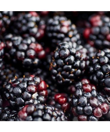 Mathieu Teisseire Blackberry Syrup for drinks iced teas lemonades cocktails sodas smoothies lattes hot chocolates 70 - Buy Online on GoSupps.com