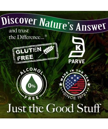 Nature's Answer Alcohol-Free Bilberry-20 Extract 1oz | Eye & Vision Support | Promotes Circulation - Buy Online on GoSupps.com