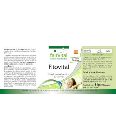 Fairvital | PhytoVital VEGAN - Highly dosed - 90 capsules - quality plant extract - natural multivitamin - Buy Online on GoSupps.com