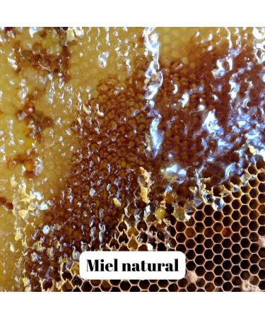 L'Abella Mel - Miel de Fleurs l'Abella Mel 100% Natural | Pure gluten-free honey from bees harvested by hand in Spain - 500G - Buy Online on GoSupps.com