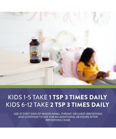 Nature's Way Sambucus Relief Kid's Cough Syrup - African Geranium, Elderberry, Vitamin C & Zinc 8 Oz - Buy Online on GoSupps.com