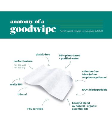 Goodwipes Really Big Body Wipes - Fresh Scent with Tea Tree Oil & Peppermint - 60 Count (6 Packs) - Buy Online on GoSupps.com