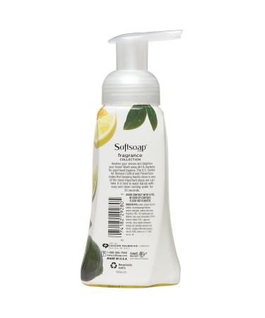 Softsoap Foaming Hand Soap - Kitchen Citrus Bliss 8 oz | Buy Internationally Online - Buy Online on GoSupps.com