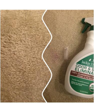 Jackie Doodles Urine Remover 24 OZ Bottle - Safely Eliminates Cat, Dog, and Human Odors - Ready to Use with Concentrate - Buy Online on GoSupps.com