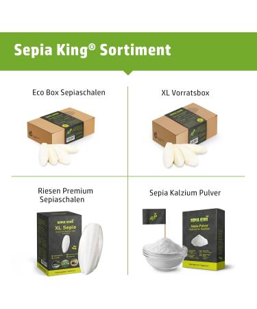 Premium Sepia Bowl for Turtles & Reptiles | Calcium Rich | Eco-Friendly Terrarium Accessory - No Waste - Buy Online on GoSupps.com