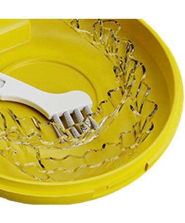 Prosthesen-Badbox | Dustproof Storage Case for Cups | Mouth Protection & Prosthesis Holder | Lightweight & Easy to Clean for Home Travel & Office - Buy Online on GoSupps.com