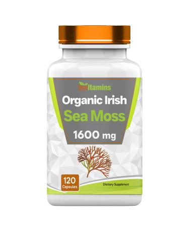tnvitamins Organic Irish Sea Moss: 1600mg - 120 Capsules | Two Month Supplt Simply Organic Sea Moss Powder Capsules are Highly Potent and Absorbable! | Non-GMO | Made in The USA! 120 Count (Pack of 1)