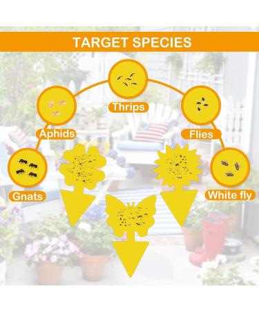 60-Piece Yellow Stickers for Fungus Gnats | Safe Odorless Adhesive Traps for Houseplants & Flowers - Effective Indoor & Outdoor Fly Control - Buy Online on GoSupps.com