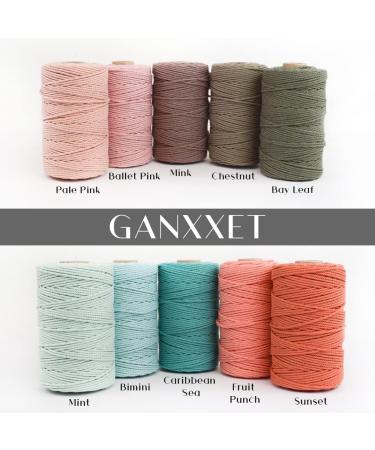 GANXXET Bay Leaf Color Macrame Cotton Cord 2mm 3 ply Recycled | 480 Feet / 160 Yards | DIY Macrame and Crafts Cord for Wall Hangings, Plant Hangers, Coasters - Buy Online on GoSupps.com