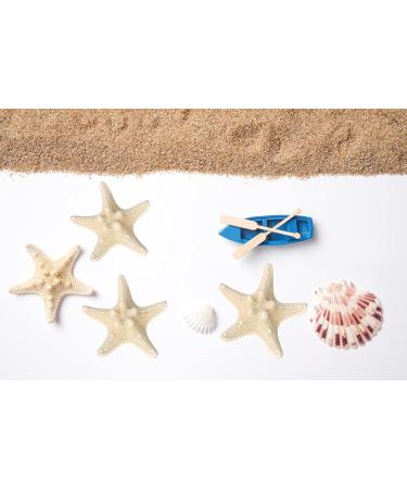 OBTANIM Starfish Hair Clip Set - Resin Beach Sea Star Hair Pins for Women and Girls - Mermaid Hair Accessories - 2 Count - Buy Online on GoSupps.com