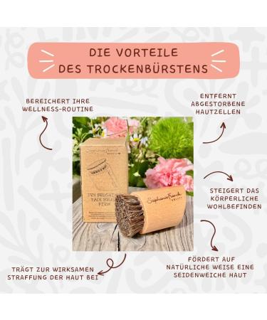 Stephanie Franck Beauty Dry Brushing Face Brush - Natural Horsehair & Beech Wood for Cleansing Peeling & Radiant Skin - International Shipping Available - Buy Online on GoSupps.com