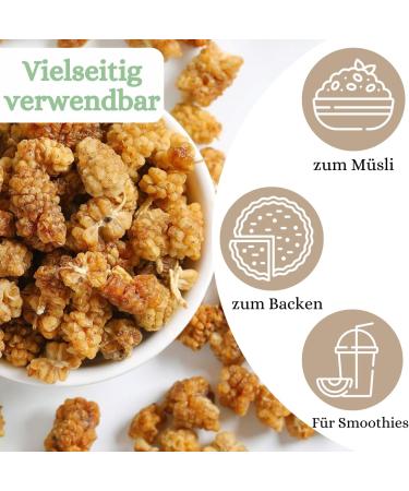  1001 Frucht 1001 Fruit Delicious Organic Dried White Blackberries 500g from a new harvest | Organic blackberries with no added sugar and no other additives | Organic dried blackberries - Buy Online on GoSupps.com