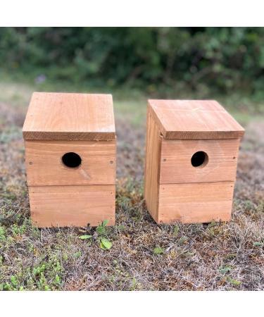 Wooden Multi-Hole Wild Bird Classic Nest Box Birdhouse (Pack of 2) - Buy Online on GoSupps.com