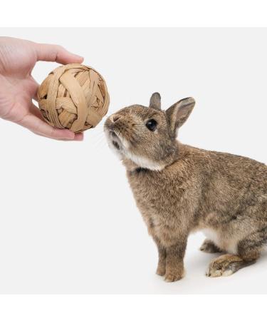 Shop Premium Rabbit & Small Animal Toys | Molar & Dental Care Wood Accessories for Guinea Pigs Chinchillas Mice & Rats - Buy Online on GoSupps.com