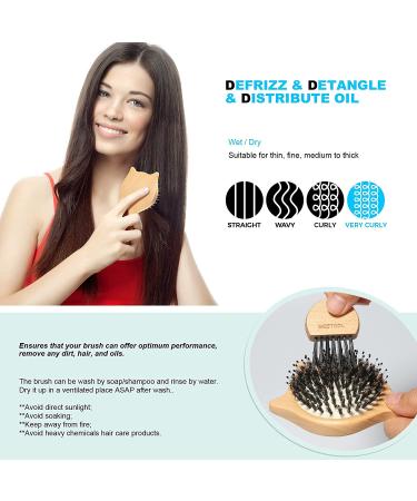 Bestool Small Travel Hair Brush for Women, Men, and Kids - Wooden Boar Bristle Brush for Detangling, Defrizzing, and Oil Distribution - Buy Online on GoSupps.com
