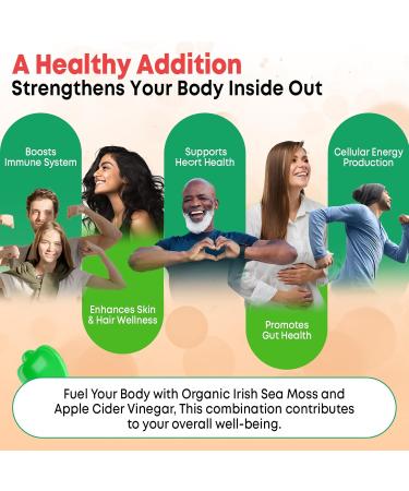 2 Pack Apple Cider Vinegar Gummies ACV with Sea Moss Gummies for Metabolism Digestion Detox Gut & Immune Health Apple Flavored -120 Count 60 Count (Pack of 2) - Buy Online on GoSupps.com