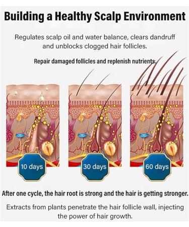 behound DrShangguan AntiHair Loss Shampoo Consciousney Antihair Loss and Hair Growth Shampoo Anti Hair Loss Shampoo for Women Men Ginger Shampo Fast Hair Growth for Thinning Hair 2 Pcs - Buy Online on GoSupps.com