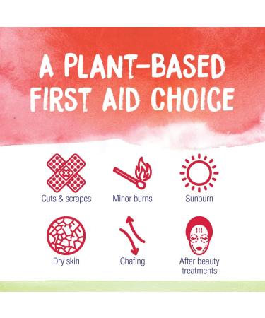 Boiron Calendula First Aid Cream 2.5 oz - Relief for Cuts, Scrapes, Chafing & Sunburn - Buy Online on GoSupps.com