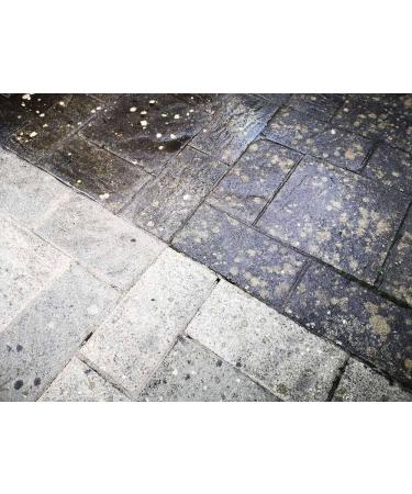 Armor MSC100 Gentle Cleaner - Best for Concrete Pavers Stone Gutters & Siding | International Shipping - Buy Online on GoSupps.com