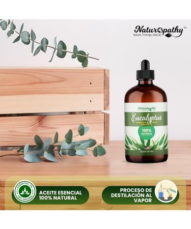 Naturopathy Eucalyptus Essential Oil Therapeutic Grade Premium Quality Perfect for Aromatherapy (4 fl oz) Eucalyptus 4 Fl Oz (Pack of 1) - Buy Online on GoSupps.com