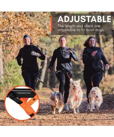 Buy Non-stop dogwear FREEMOTION Harness 5.0 | Blue/Grey | All Sports Dog Harness | Size 8 | International Shipping Available - Buy Online on GoSupps.com