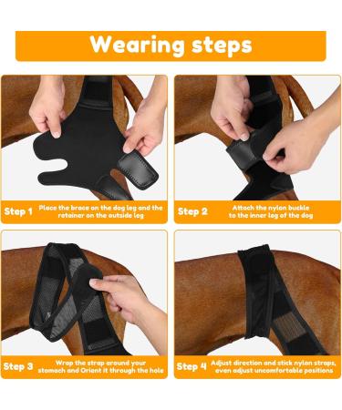 HSHGZSR Dog Knee Brace for Hind Leg Breathable Dog Leg Braces Comfortable Soft Dog ACL Brace Adjustable Pet Back Leg Support Brace for Supporting Dogs with Torn ACL Muscle Hind Leg Joint Discomfort Black L - Buy Online on GoSupps.com