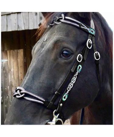 English Horse Bridle - Adjustable Leather Noseband for Horses | Premium Horse Accessories & Racing Equipment (Black) - Buy Online on GoSupps.com