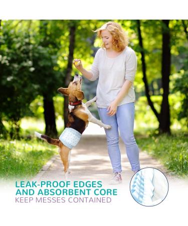 Flying Paws Disposable Dog Diapers for Males | Super Absorbent & Soft Male Wraps for Marking & Incontinence | Blue/White M - Buy Online on GoSupps.com