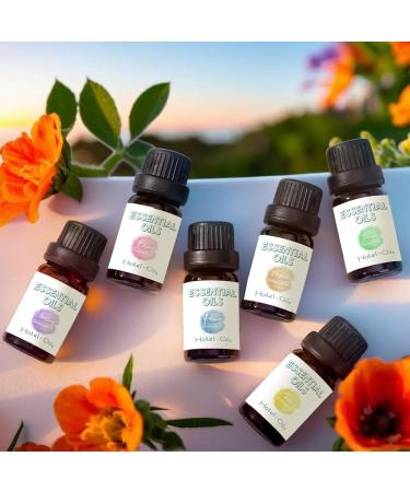Hotel Scent Essential Oil Set | 6 x 0.33 fl. oz Aromatherapy Oils for Diffusers Car Freshies Candle Making & DIY Blends - Buy Online on GoSupps.com