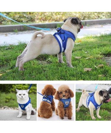 Femax Dog Harness & Linen Set Soft Mesh Padded Reflective Adjustable & Breathable for Puppies & Cats (Chest 35-40 cm) Perfect for Walking Running & Training - Buy Online on GoSupps.com