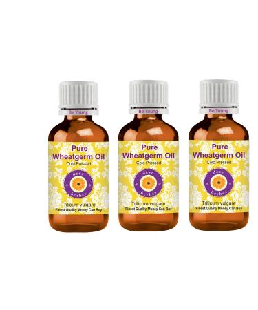 Deve Herbes Pure Wheat Germ Oil (Triticum vulgare) Natural Therapeutic Grade Cold Pressed (Pack of Three) 100ml X 3 (10 oz)