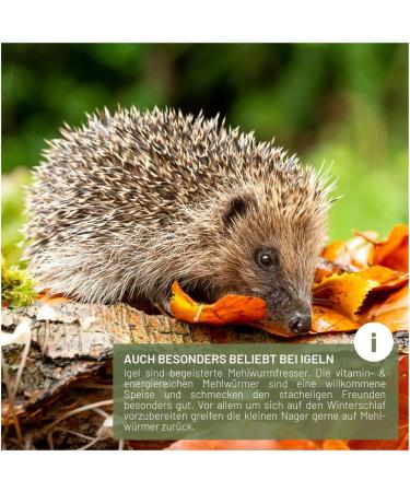 Buy Wild Animal Love Noble Mealworms 5L | Dried Mealworms for Birds & Hedgehogs | Premium Insect Food for Garden Birds - Buy Online on GoSupps.com