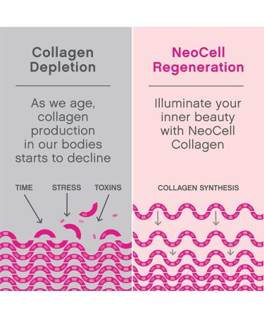 NeoCell Super Collagen Peptides Powder 10 g Collagen per serving Supports Healthy Hair Skin & Nails 20 servings - Buy Online on GoSupps.com