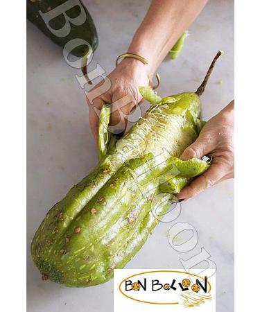 Egyptian 21.5 Loofah Scrubber Sponge - 100% Natural Organic SPA Beauty Bath Exfoliator - Buy Online on GoSupps.com